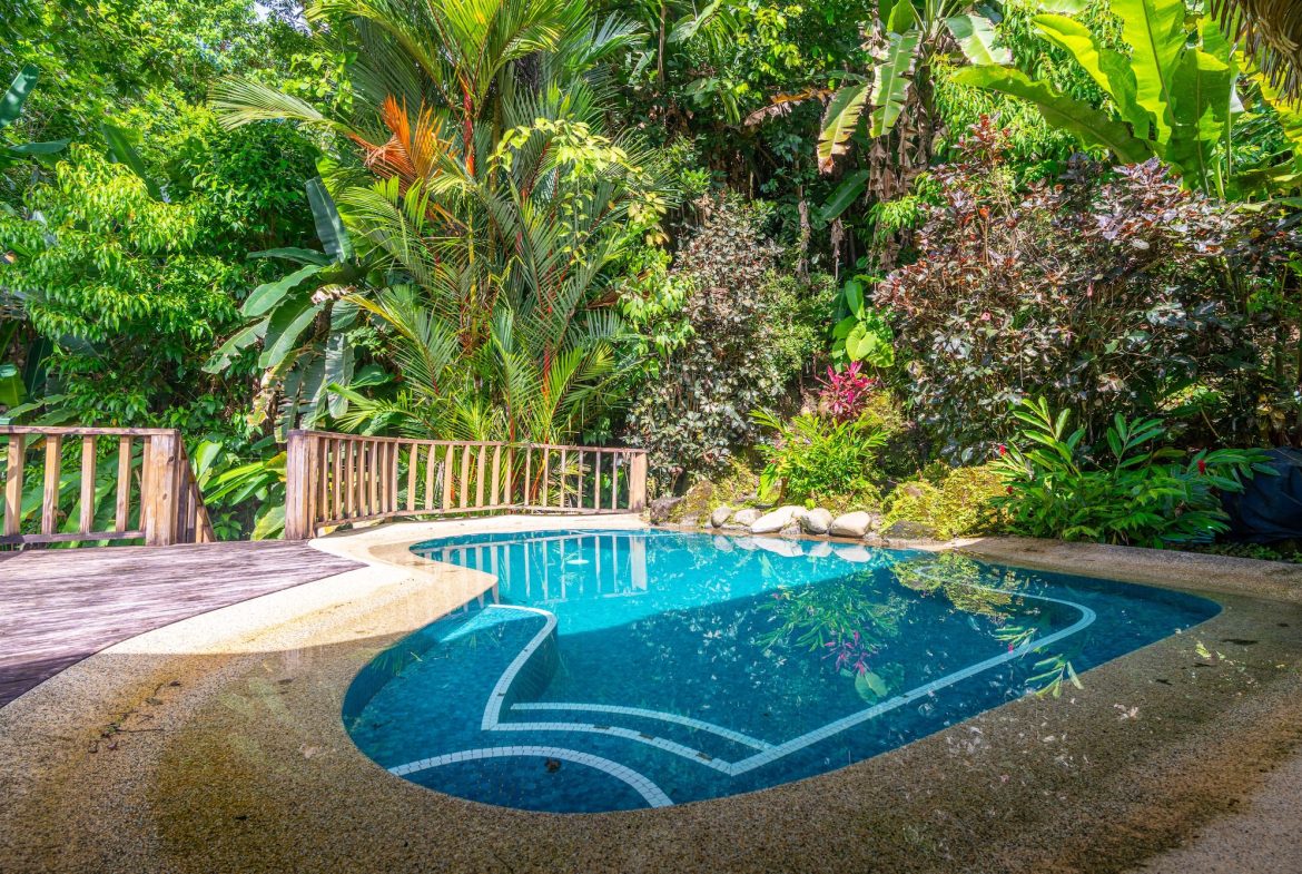VILLA KRISTINA MOUNTAIN PROPERTY WITH OCEAN VIEWS AND A GUEST HOUSE, IN BALLENA – 3.8 ACRES
