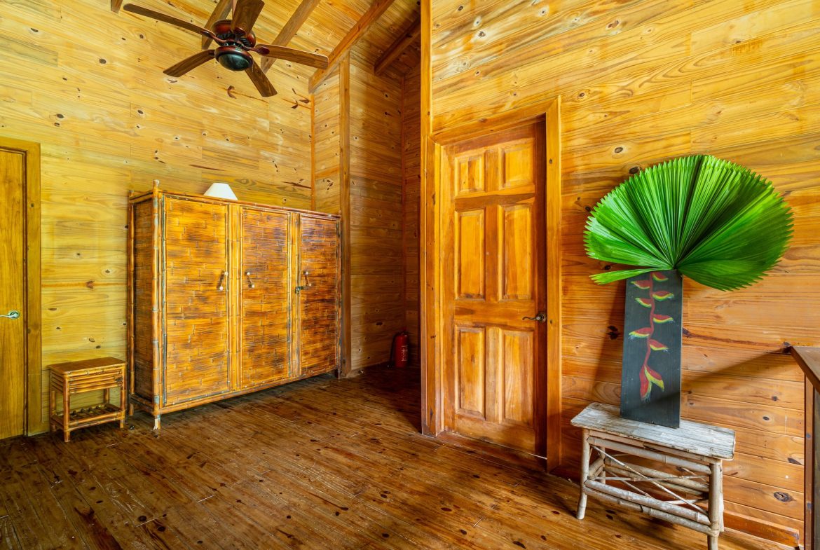 VILLA KRISTINA MOUNTAIN PROPERTY WITH OCEAN VIEWS AND A GUEST HOUSE, IN BALLENA – 3.8 ACRES