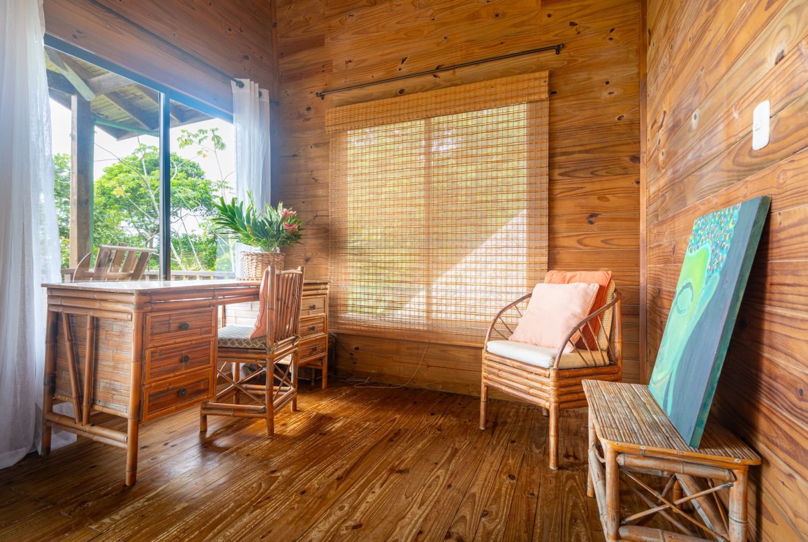 VILLA KRISTINA MOUNTAIN PROPERTY WITH OCEAN VIEWS AND A GUEST HOUSE, IN BALLENA – 3.8 ACRES