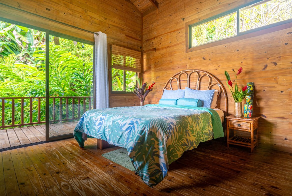 VILLA KRISTINA MOUNTAIN PROPERTY WITH OCEAN VIEWS AND A GUEST HOUSE, IN BALLENA – 3.8 ACRES