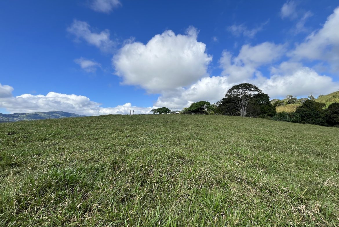 FARM PROPERTY NEAR TO THE CREEK, IN PEJIBAYE PEREZ ZELEDON – 4.5 ACRES