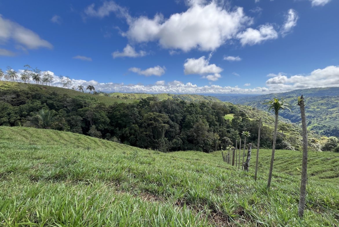 FARM PROPERTY NEAR TO THE CREEK, IN PEJIBAYE PEREZ ZELEDON – 4.5 ACRES