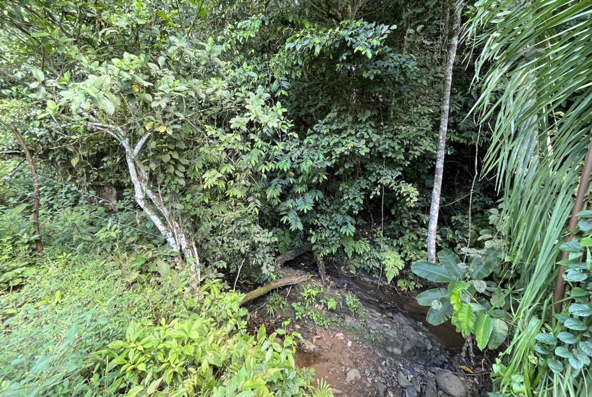 FARM PROPERTY NEAR TO THE CREEK, IN PEJIBAYE PEREZ ZELEDON – 4.5 ACRES