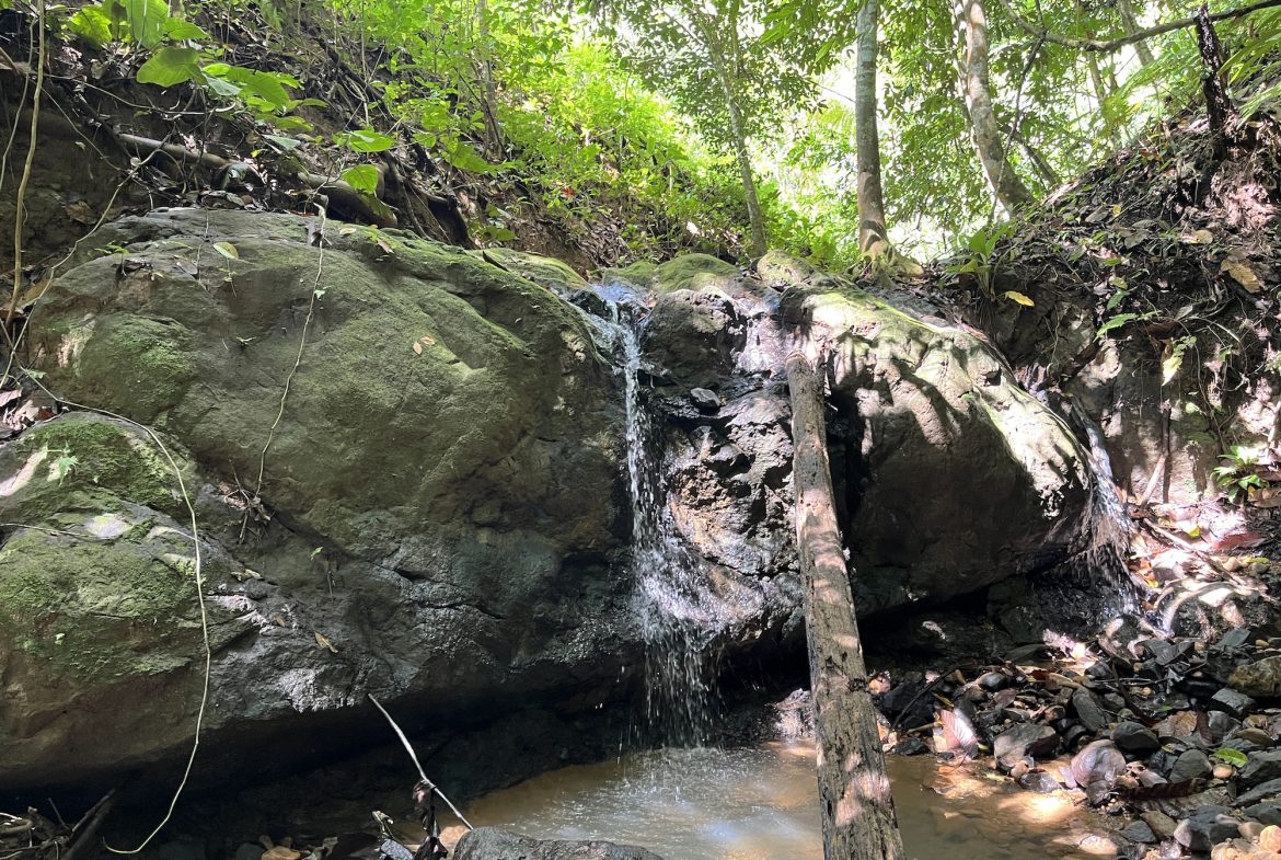 FARM PROPERTY NEAR TO THE CREEK, IN PEJIBAYE PEREZ ZELEDON – 4.5 ACRES