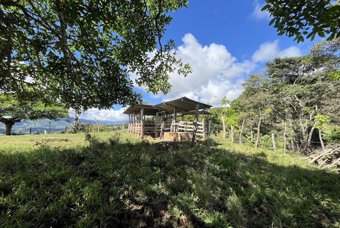 FARM PROPERTY NEAR TO THE CREEK, IN PEJIBAYE PEREZ ZELEDON – 4.5 ACRES