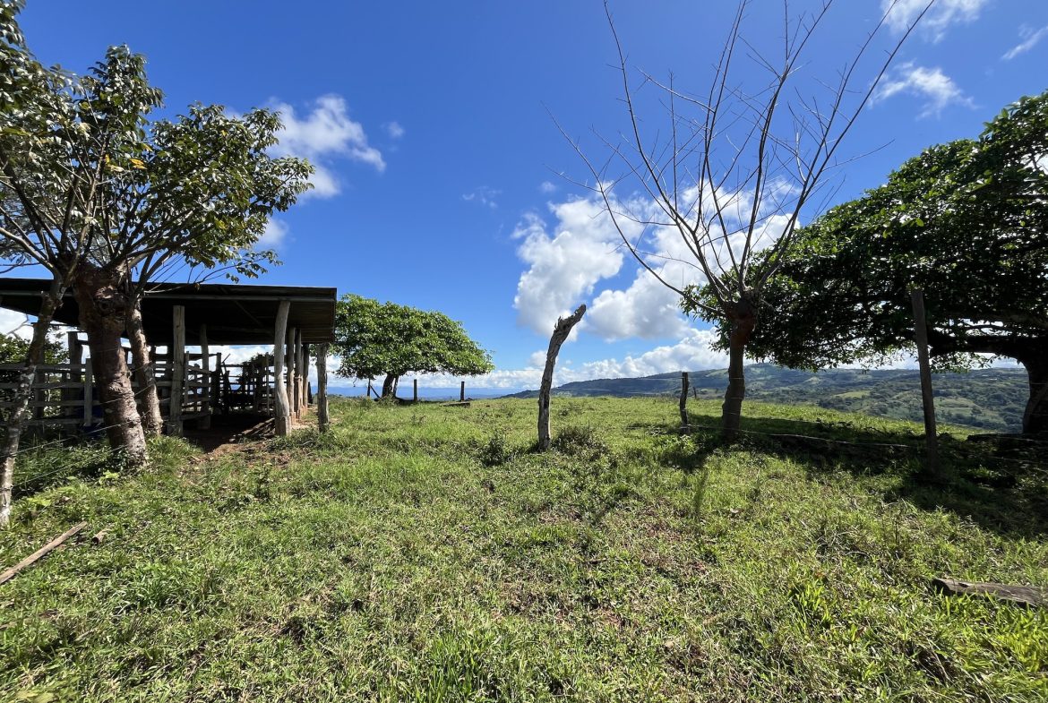 FARM PROPERTY NEAR TO THE CREEK, IN PEJIBAYE PEREZ ZELEDON – 4.5 ACRES