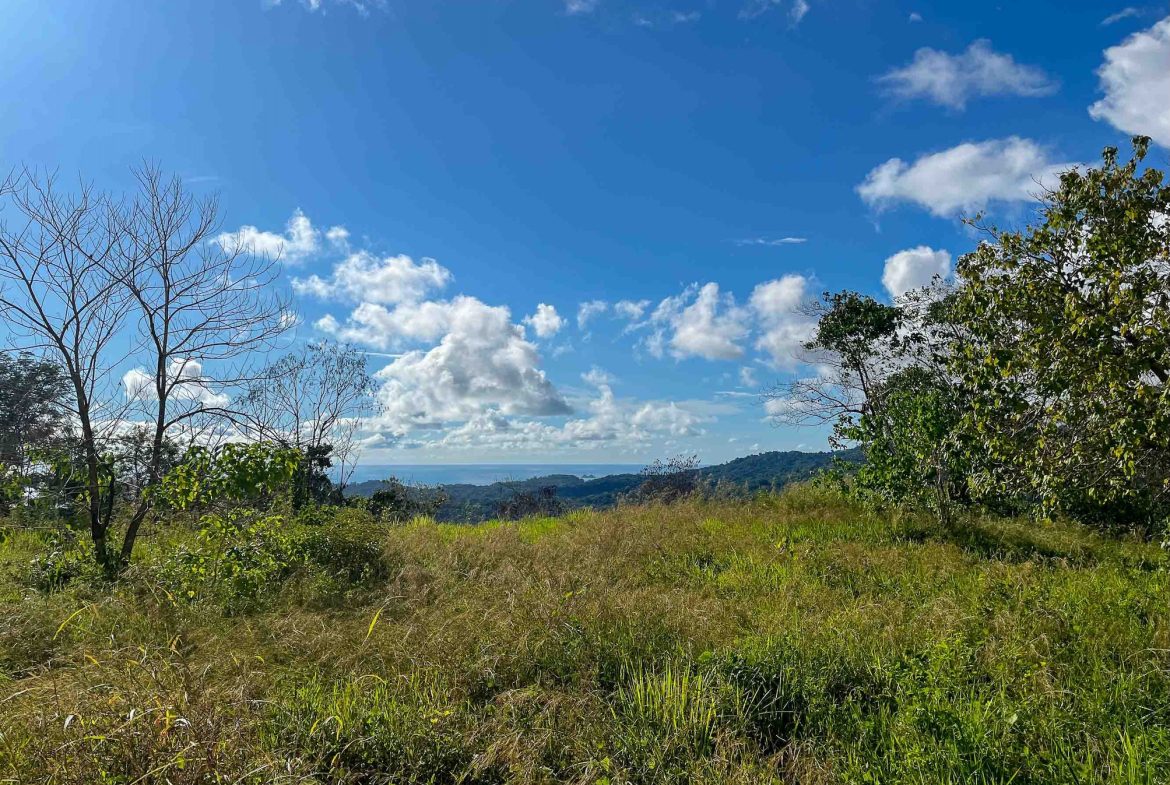 MOUNTAIN BUILDING PROPERTY WITH OCEAN VIEWS, IN OJOCHAL – 0.38 ACRES