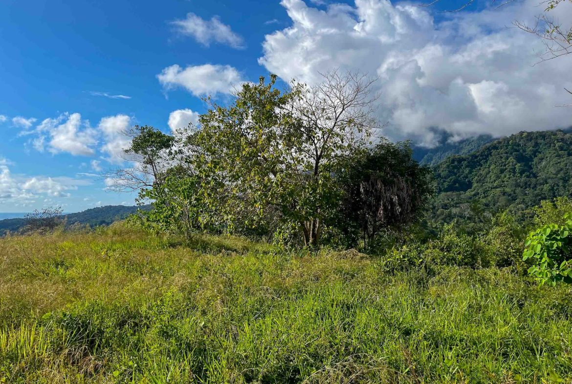 MOUNTAIN BUILDING PROPERTY WITH OCEAN VIEWS, IN OJOCHAL – 0.38 ACRES