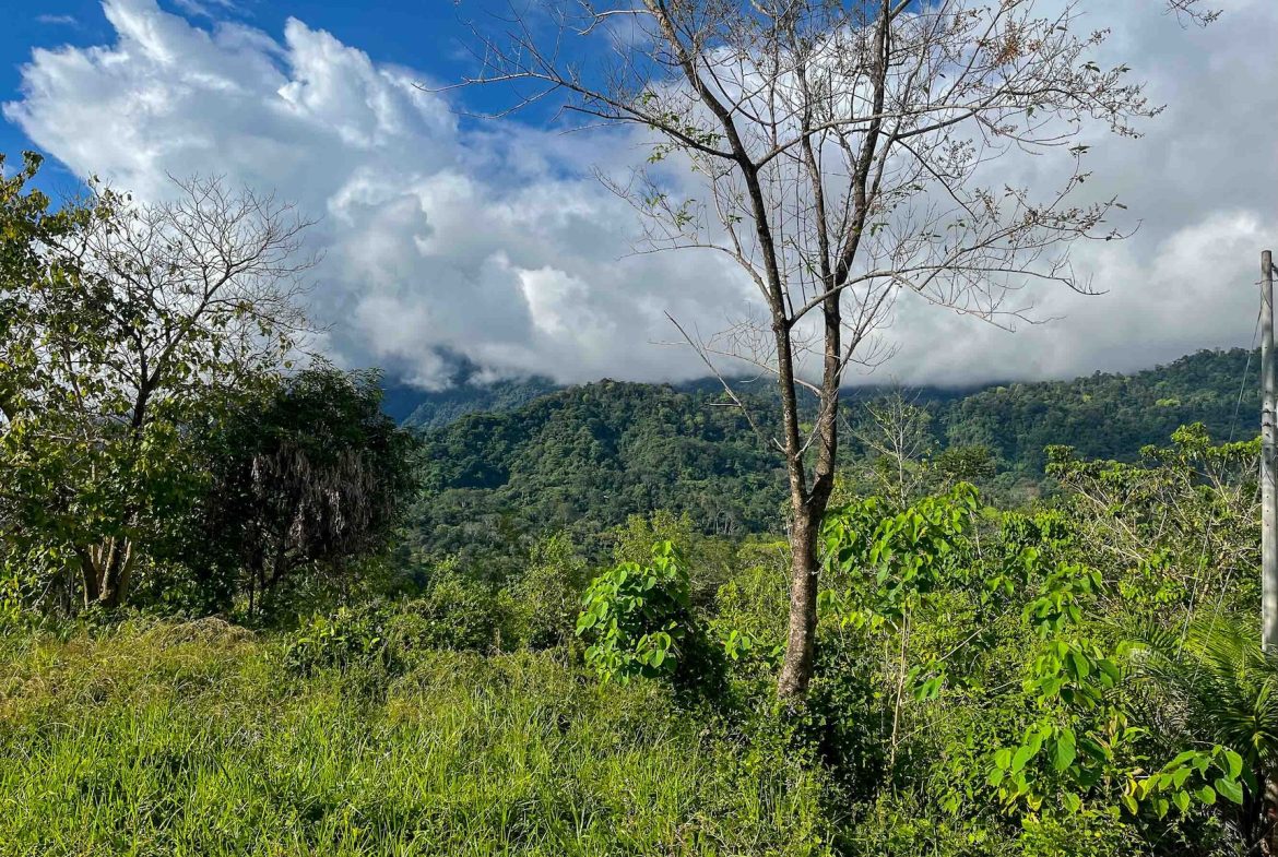 MOUNTAIN BUILDING PROPERTY WITH OCEAN VIEWS, IN OJOCHAL – 0.38 ACRES