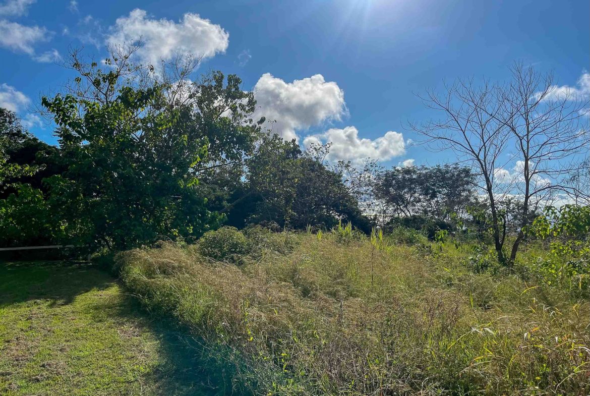 MOUNTAIN BUILDING PROPERTY WITH OCEAN VIEWS, IN OJOCHAL – 0.38 ACRES