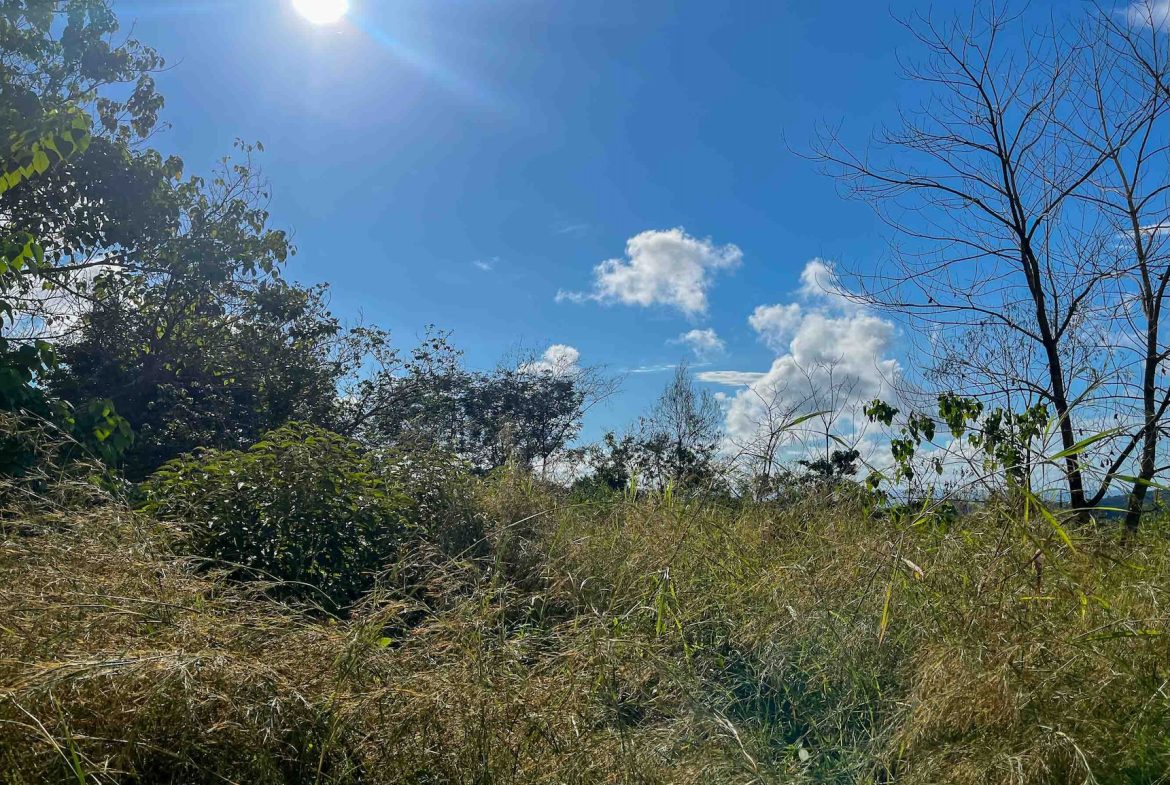 MOUNTAIN BUILDING PROPERTY WITH OCEAN VIEWS, IN OJOCHAL – 0.38 ACRES