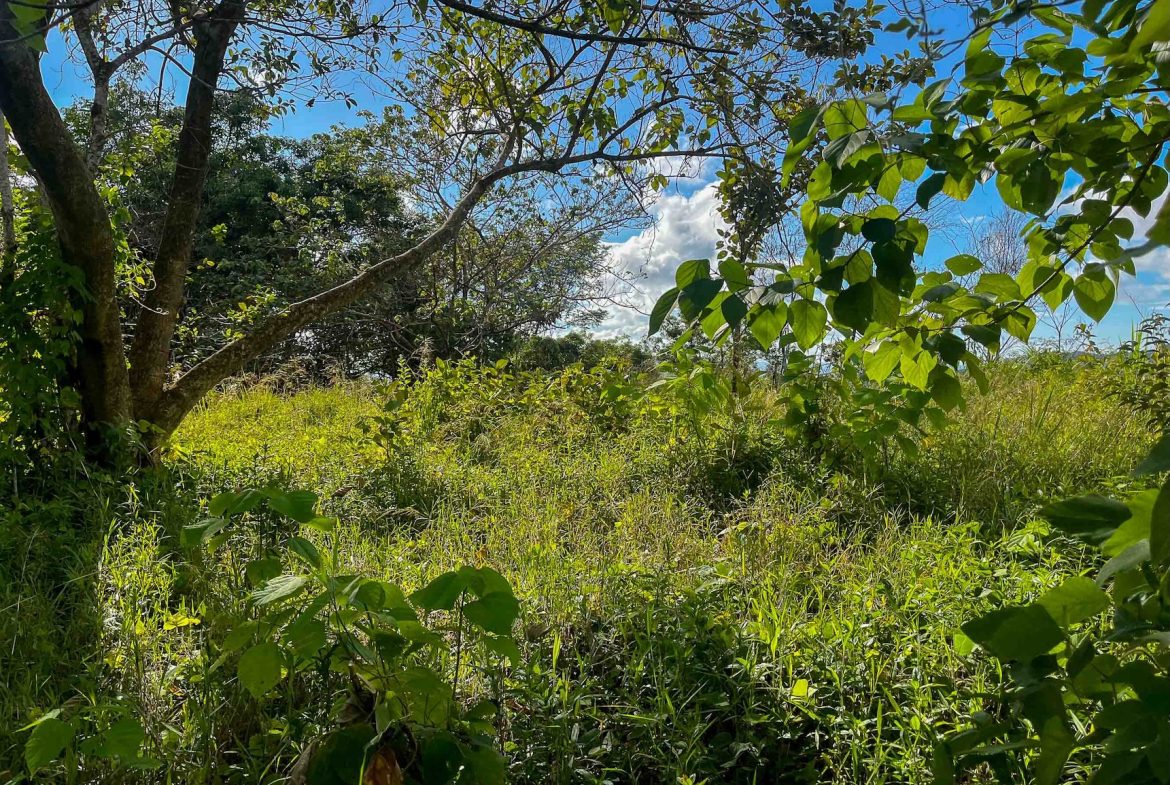 MOUNTAIN BUILDING PROPERTY WITH OCEAN VIEWS, IN OJOCHAL – 0.38 ACRES