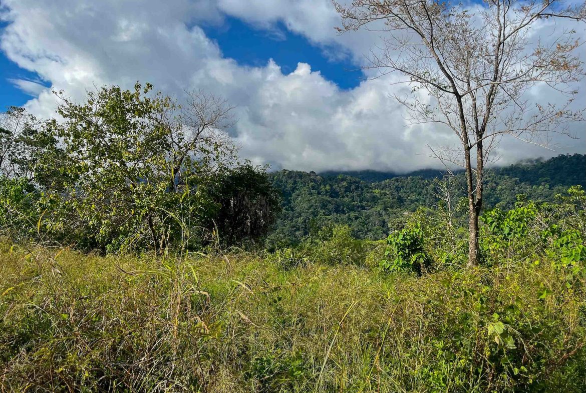 MOUNTAIN BUILDING PROPERTY WITH OCEAN VIEWS, IN OJOCHAL – 0.38 ACRES