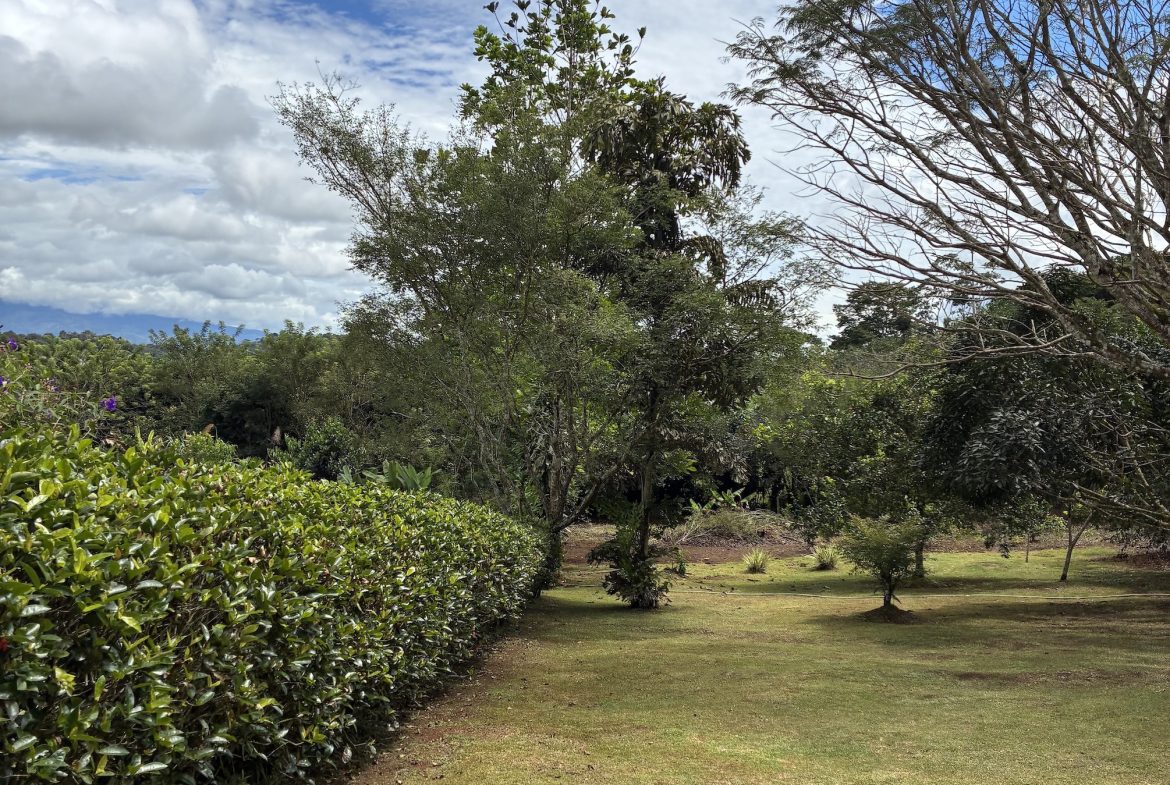 BUILDING PROPERTY WITH FRUIT TREES, IN LAS BRISAS PEREZ ZELEDON – 0.96 ACRES