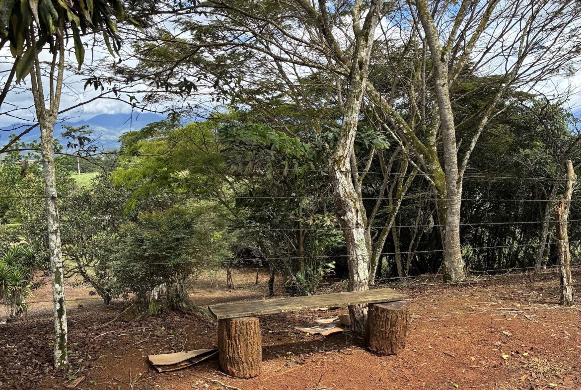 BUILDING PROPERTY WITH FRUIT TREES, IN LAS BRISAS PEREZ ZELEDON – 0.96 ACRES