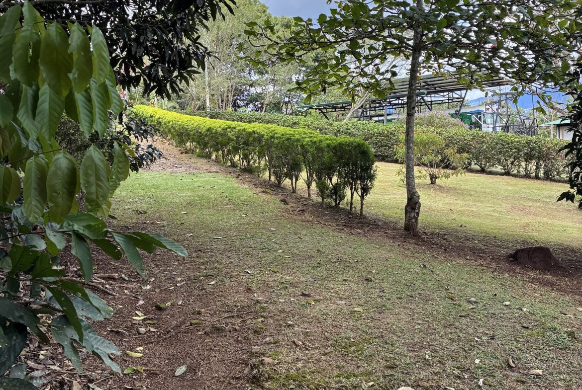 BUILDING PROPERTY WITH FRUIT TREES, IN LAS BRISAS PEREZ ZELEDON – 0.96 ACRES
