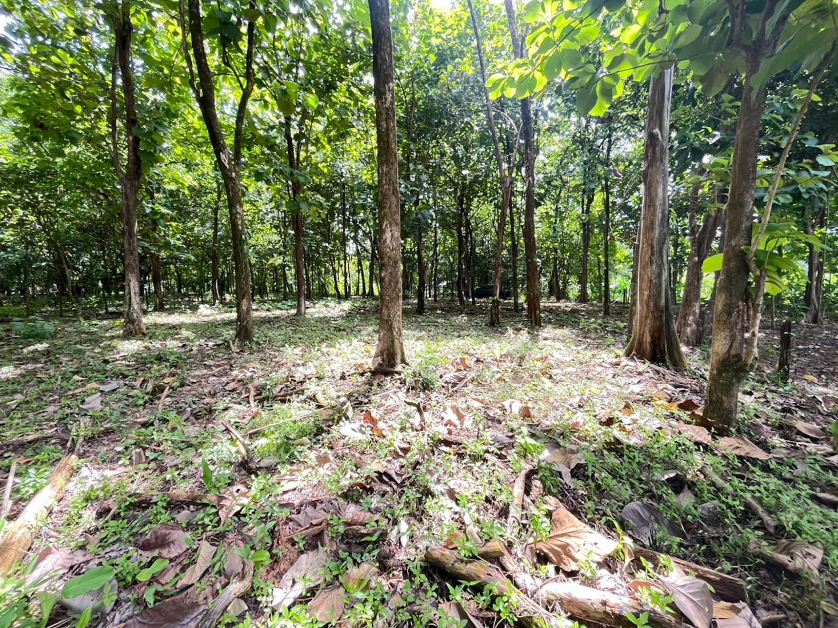 c142be3a-d6a2-410a-9817-1622433a3858