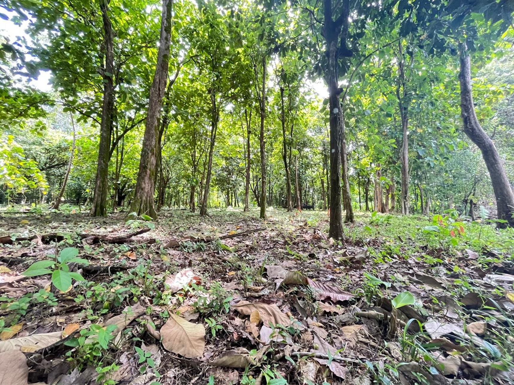 c481c8d5-cd93-4aea-bf30-7739a2e29c4d