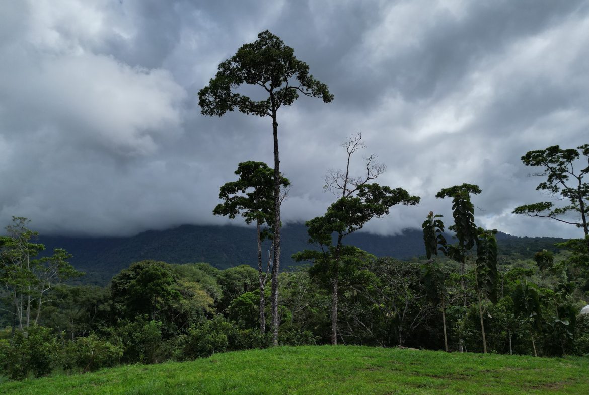 BUILDING PROPERTY WITH A WATERFALL VIEWS, IN SAN SALVADOR – 2.4 ACRES