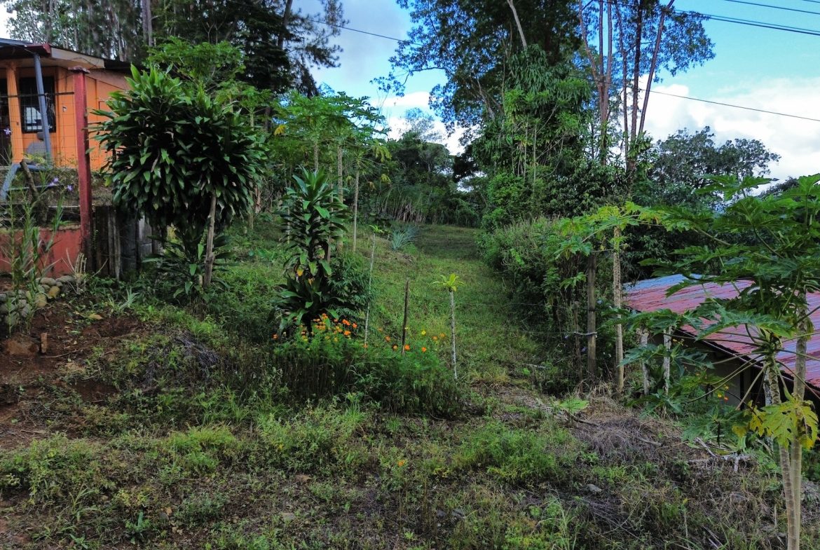 BUILDING PROPERTY WITH PUBLIC ROAD IN FRONT AND FRUIT TREES, IN SAN ISIDRO – 0.53 ACRES