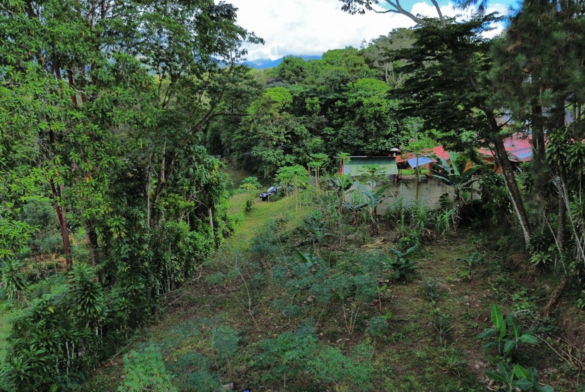 BUILDING PROPERTY WITH PUBLIC ROAD IN FRONT AND FRUIT TREES, IN SAN ISIDRO – 0.53 ACRES