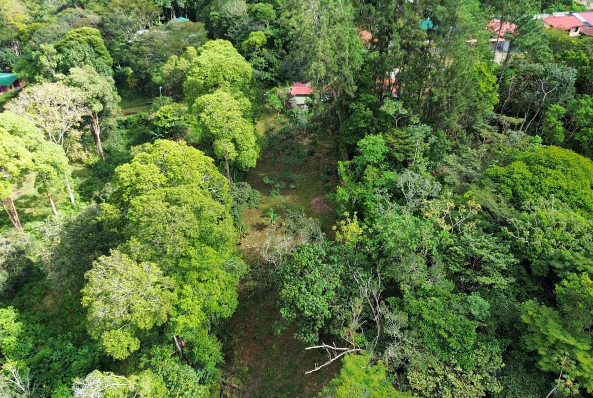 BUILDING PROPERTY WITH PUBLIC ROAD IN FRONT AND FRUIT TREES, IN SAN ISIDRO – 0.53 ACRES