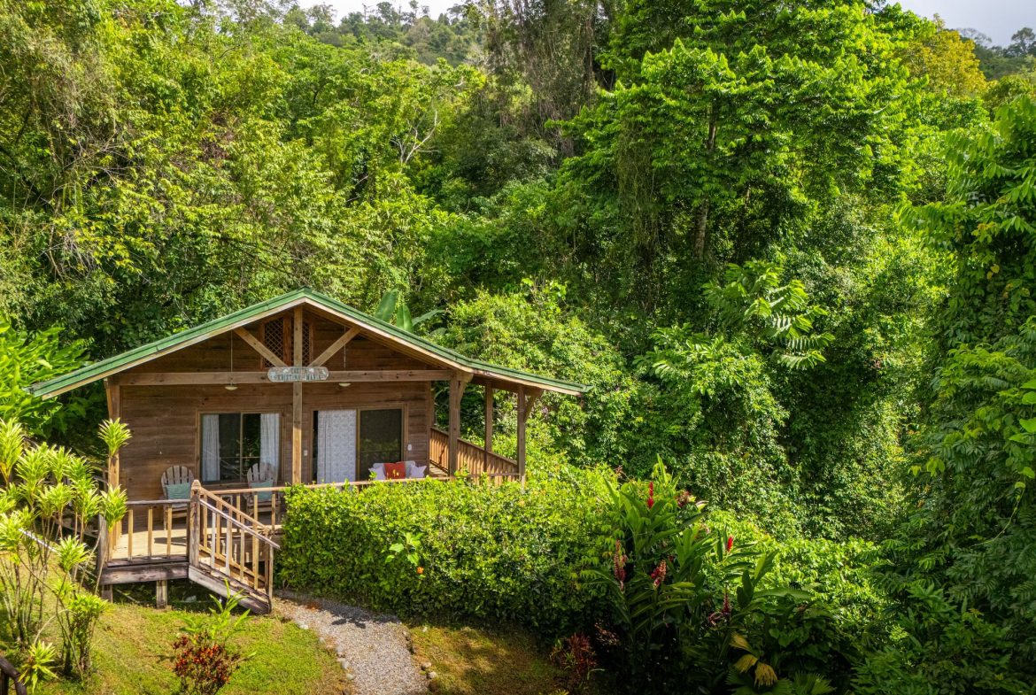 VILLA KRISTINA MOUNTAIN PROPERTY WITH OCEAN VIEWS AND A GUEST HOUSE, IN BALLENA – 3.8 ACRES