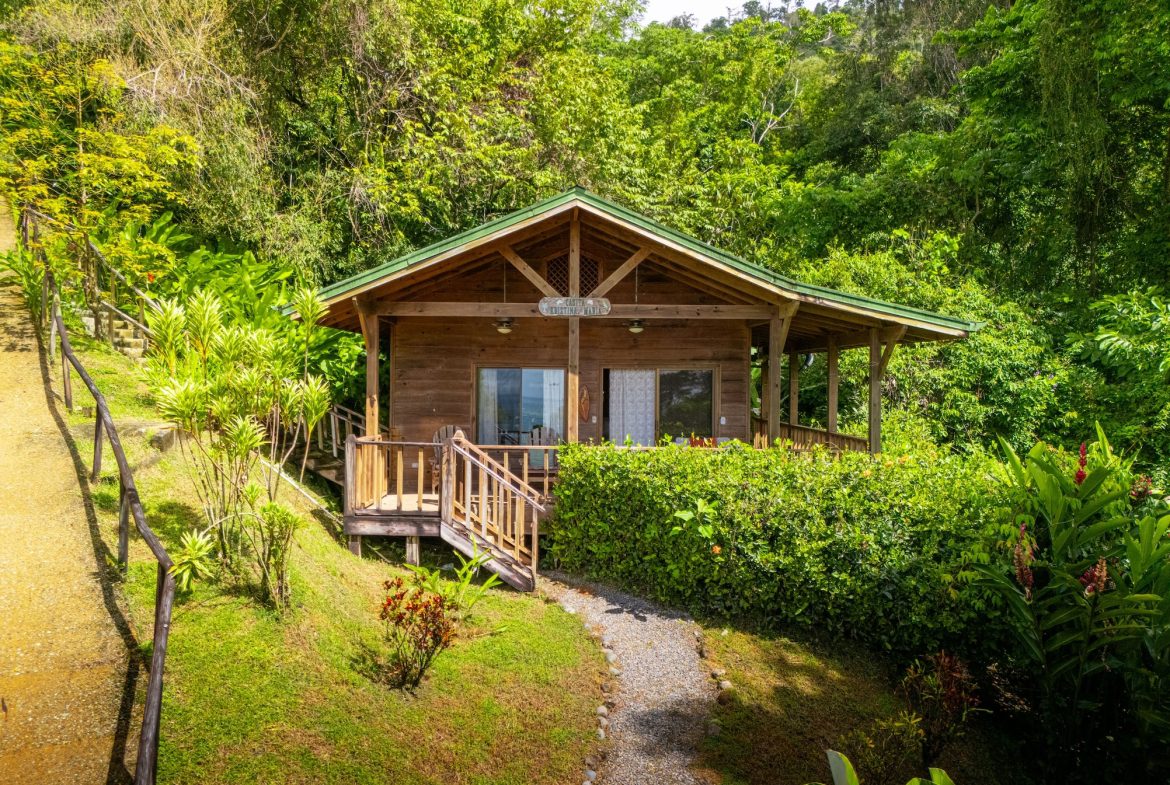 VILLA KRISTINA MOUNTAIN PROPERTY WITH OCEAN VIEWS AND A GUEST HOUSE, IN BALLENA – 3.8 ACRES