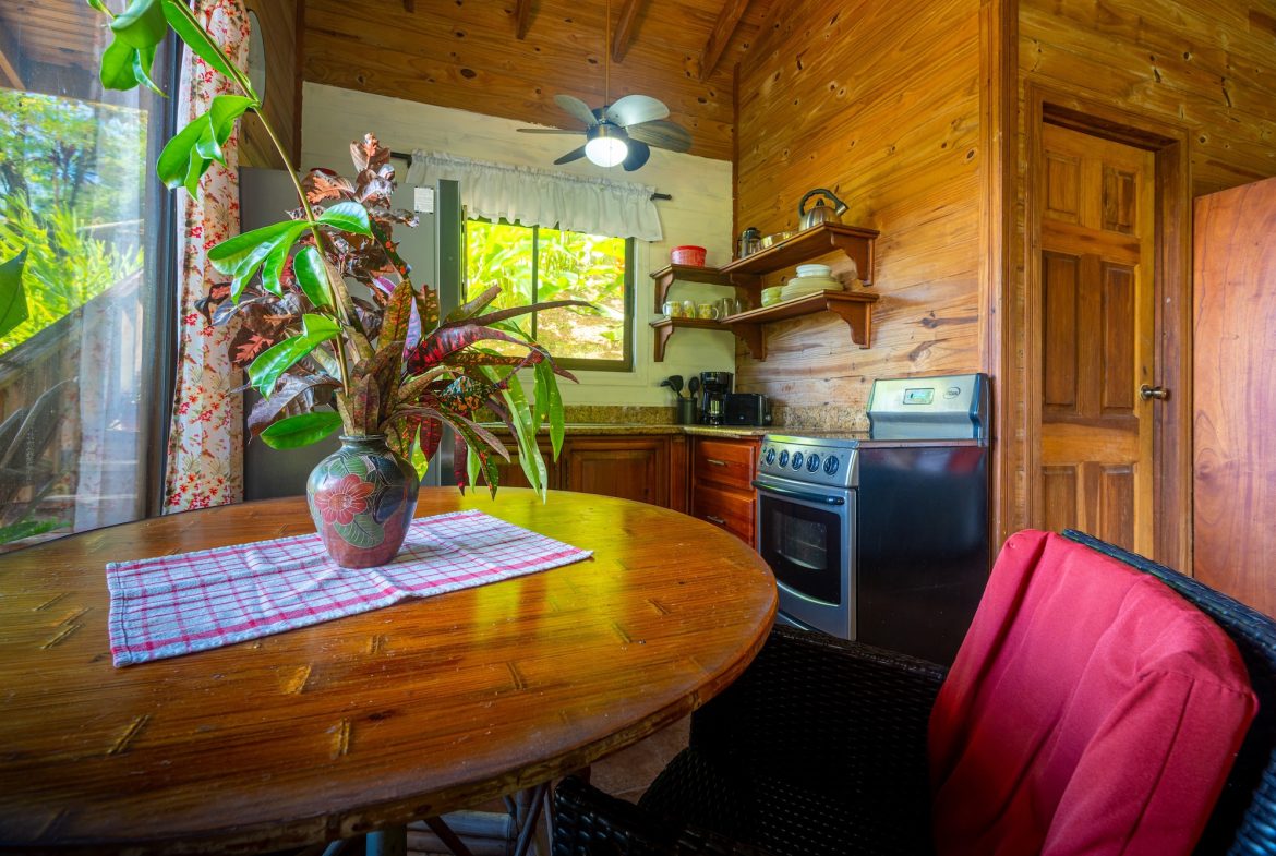 VILLA KRISTINA MOUNTAIN PROPERTY WITH OCEAN VIEWS AND A GUEST HOUSE, IN BALLENA – 3.8 ACRES