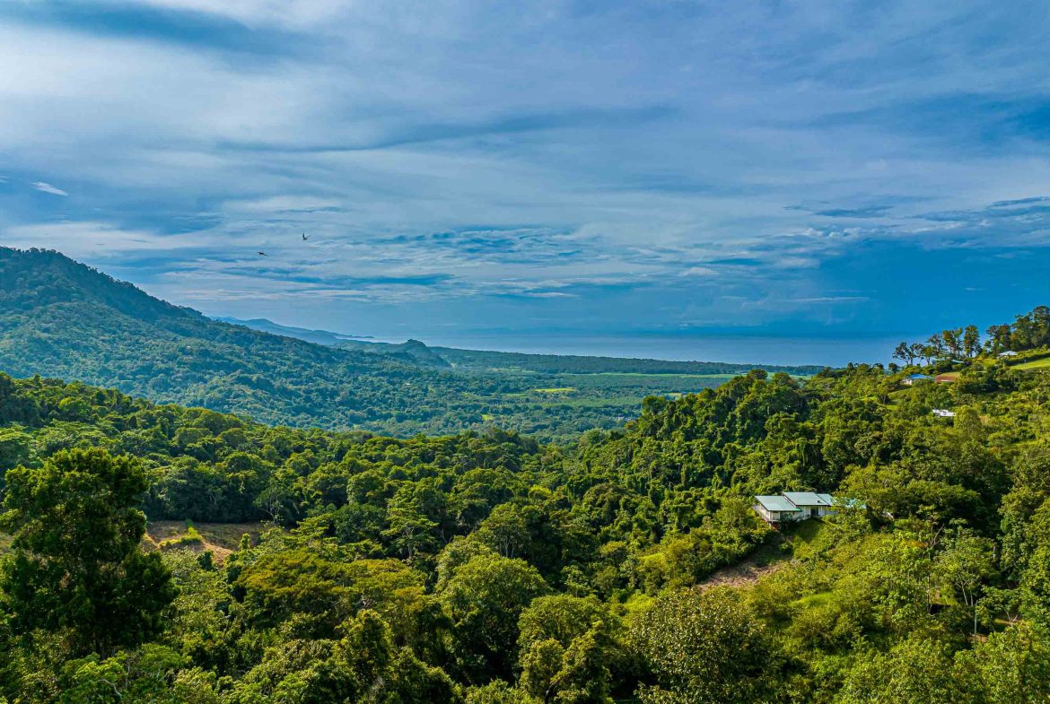 PROPERTY WITH THREE BEDROOM AND PANORAMIC VIEWS OF THE NATURE, IN PORTALON –  1.35 ACRES