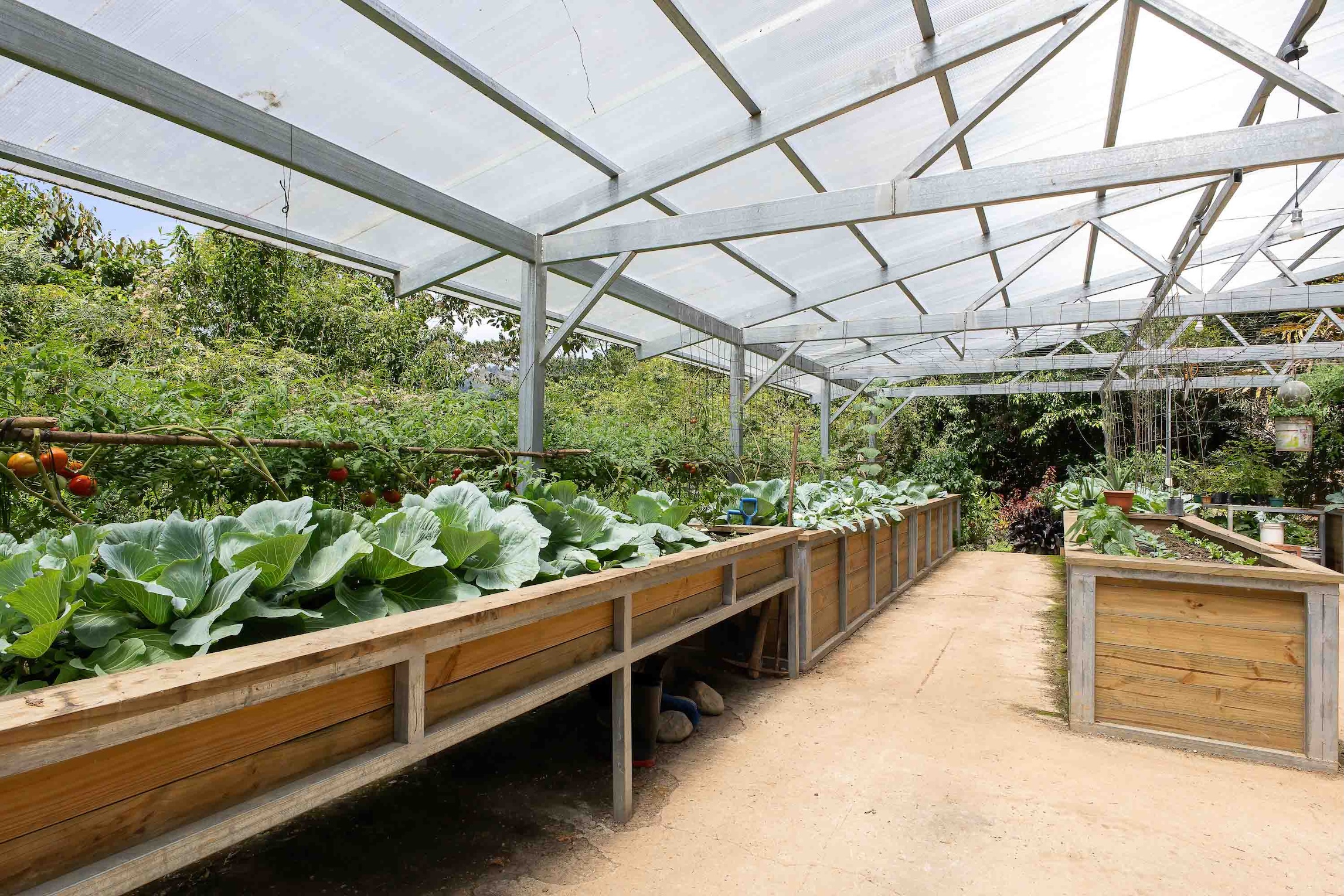 villa-chirripo-perez-zeledon-66