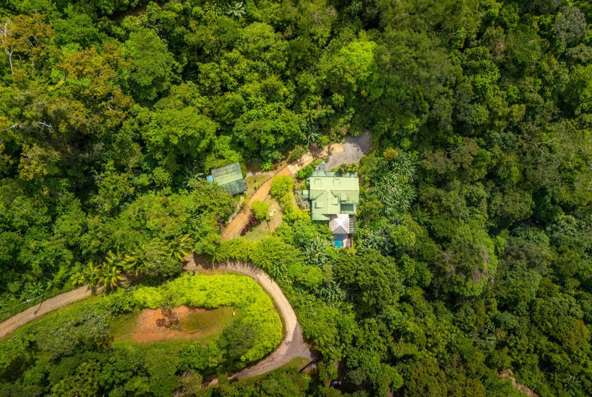 VILLA KRISTINA MOUNTAIN PROPERTY WITH OCEAN VIEWS AND A GUEST HOUSE, IN BALLENA – 3.8 ACRES