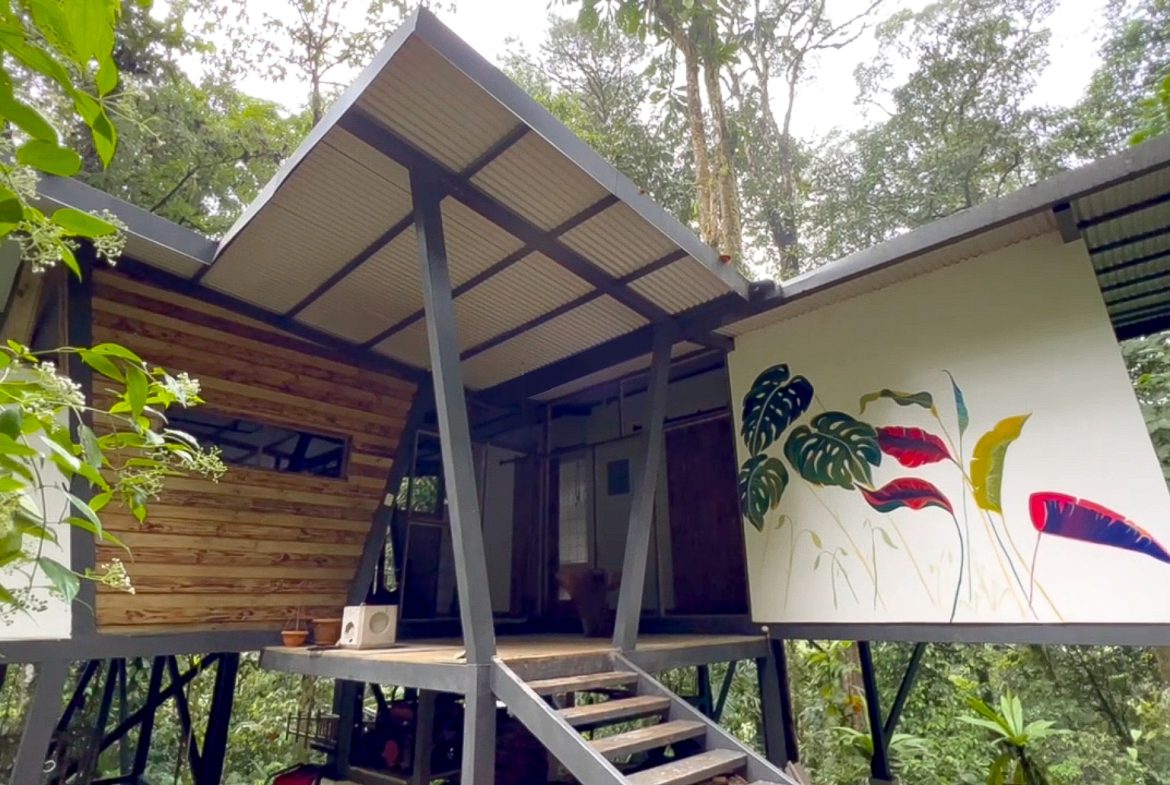 JUNGLE PROPERTY WITH THREE BEDROOM IN THE MIDDLE OF THE NATURE, IN PIEDRAS BLANCAS – 1.87 ACRES, Uvita, Costa Rica — photo 2