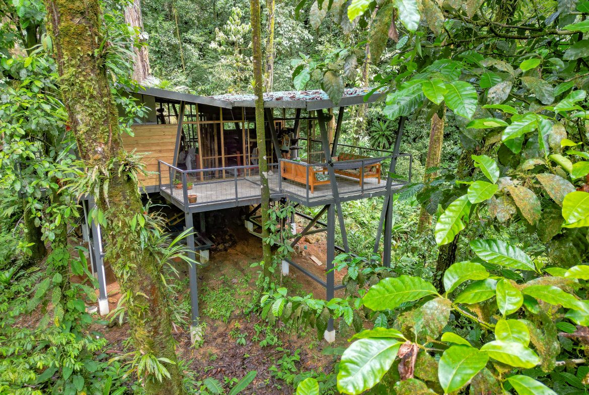 JUNGLE PROPERTY WITH THREE BEDROOM IN THE MIDDLE OF THE NATURE, IN PIEDRAS BLANCAS – 1.87 ACRES, Uvita, Costa Rica — photo 4