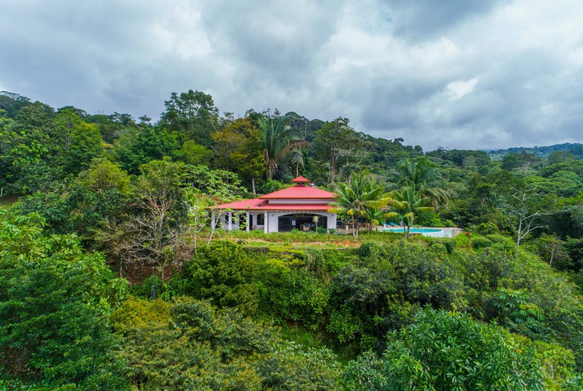 MOUNTAIN PROPERTY WITH A PARTIAL OCEAN VIEWS, IN PLATANILLO – 2.6 ACRES, Uvita, Costa Rica — photo 3