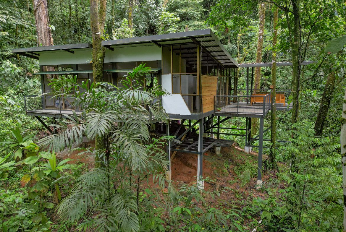 JUNGLE PROPERTY WITH THREE BEDROOM IN THE MIDDLE OF THE NATURE, IN PIEDRAS BLANCAS – 1.87 ACRES, Uvita, Costa Rica — photo 5