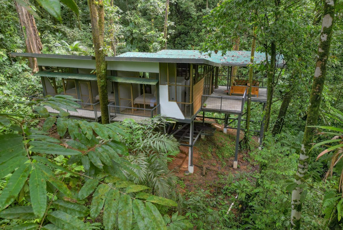 JUNGLE PROPERTY WITH THREE BEDROOM IN THE MIDDLE OF THE NATURE, IN PIEDRAS BLANCAS – 1.87 ACRES, Uvita, Costa Rica — photo 6