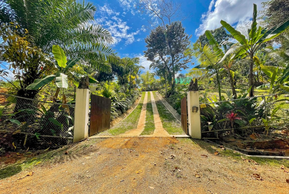 PROPERTY WITH MANY TYPES OF FRUIT TREES, IN TRES RIOS – 2.45 ACRES, Uvita, Costa Rica — photo 3