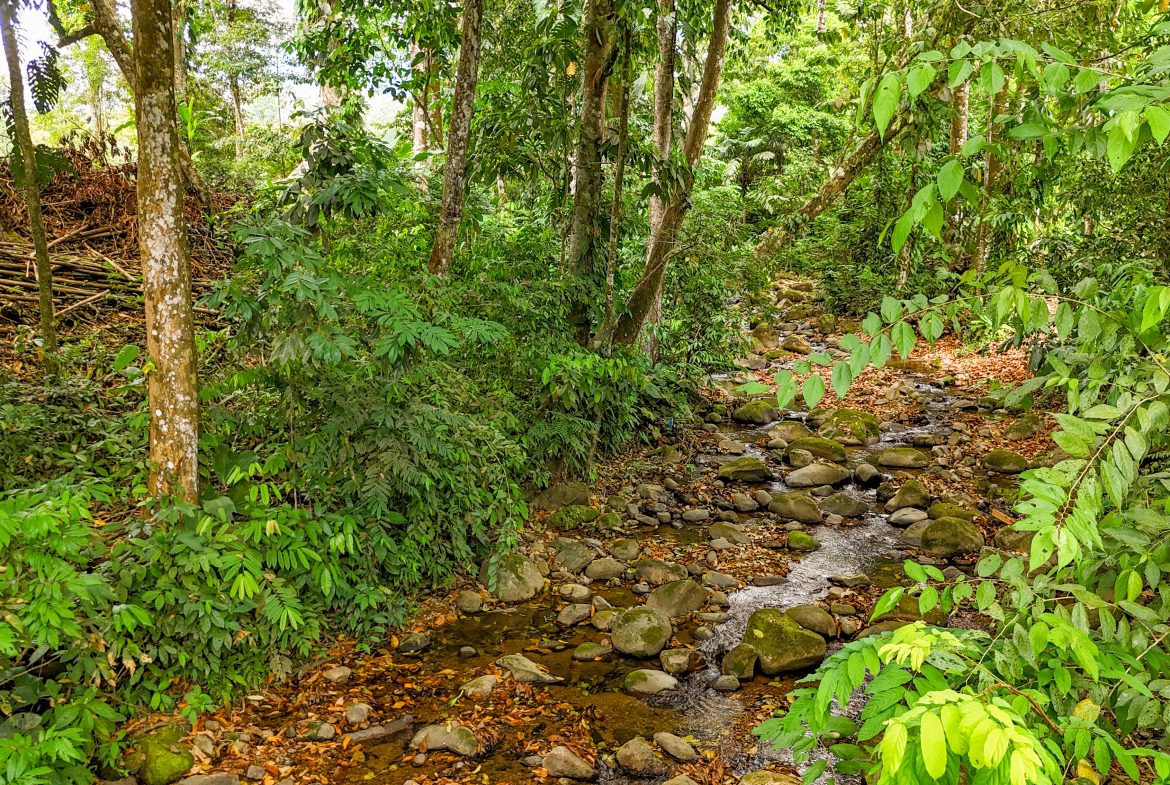 PROPERTY WITH FRUIT TREES IN A BEAUTIFUL GARDEN, IN OJOCHAL – 0.26 ACRES