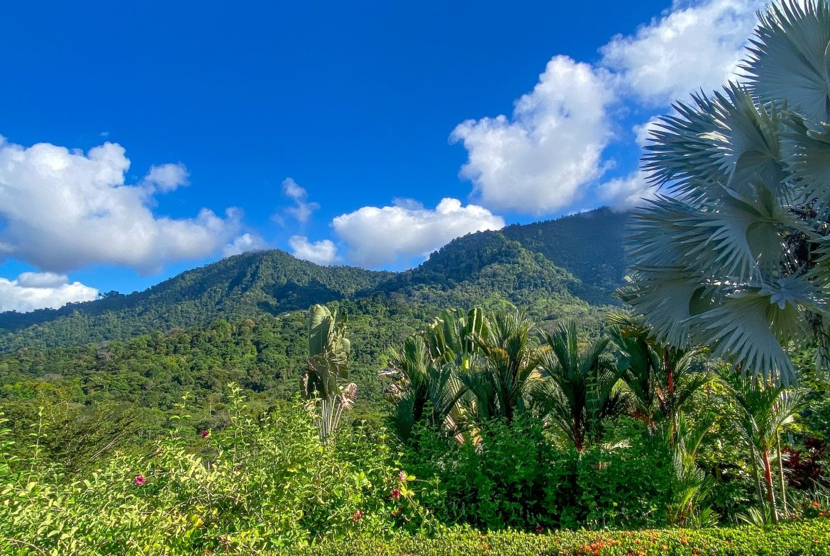 MOUNTAIN PROPERTY WITH ONE BEDROOM WITH OCEAN FRONT VIEWS, IN CINCO VENTANAS – 0.64 ACRES