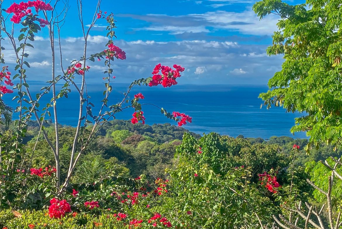 MOUNTAIN PROPERTY WITH ONE BEDROOM WITH OCEAN FRONT VIEWS, IN CINCO VENTANAS – 0.64 ACRES