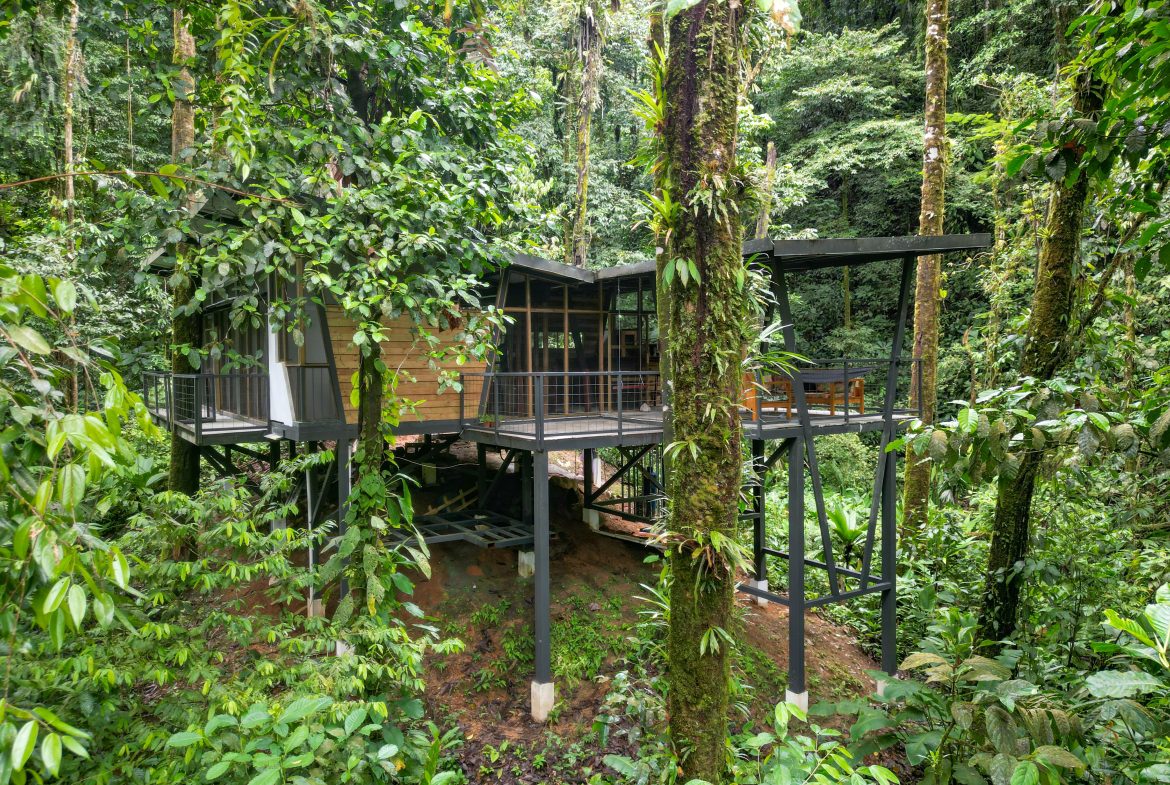 JUNGLE PROPERTY WITH THREE BEDROOM IN THE MIDDLE OF THE NATURE, IN PIEDRAS BLANCAS – 1.87 ACRES, Uvita, Costa Rica — photo 7
