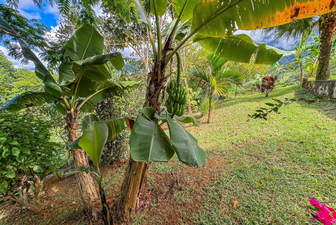 MOUNTAIN PROPERTY WITH ONE BEDROOM WITH OCEAN FRONT VIEWS, IN CINCO VENTANAS – 0.64 ACRES