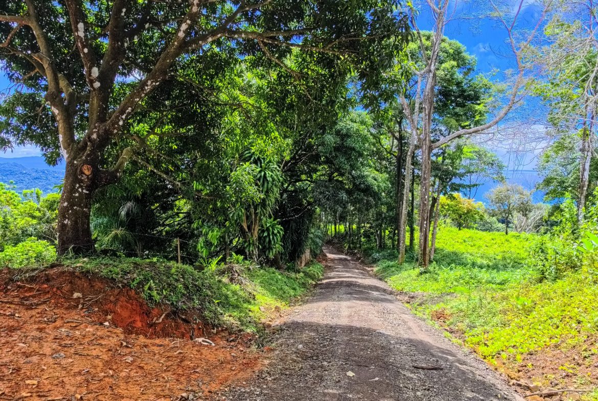 BUILDING PROPERTY WITH PANORAMIC VIEWS OF THE OCEAN, IN CINCO VENTANAS – 0.47 ACRES