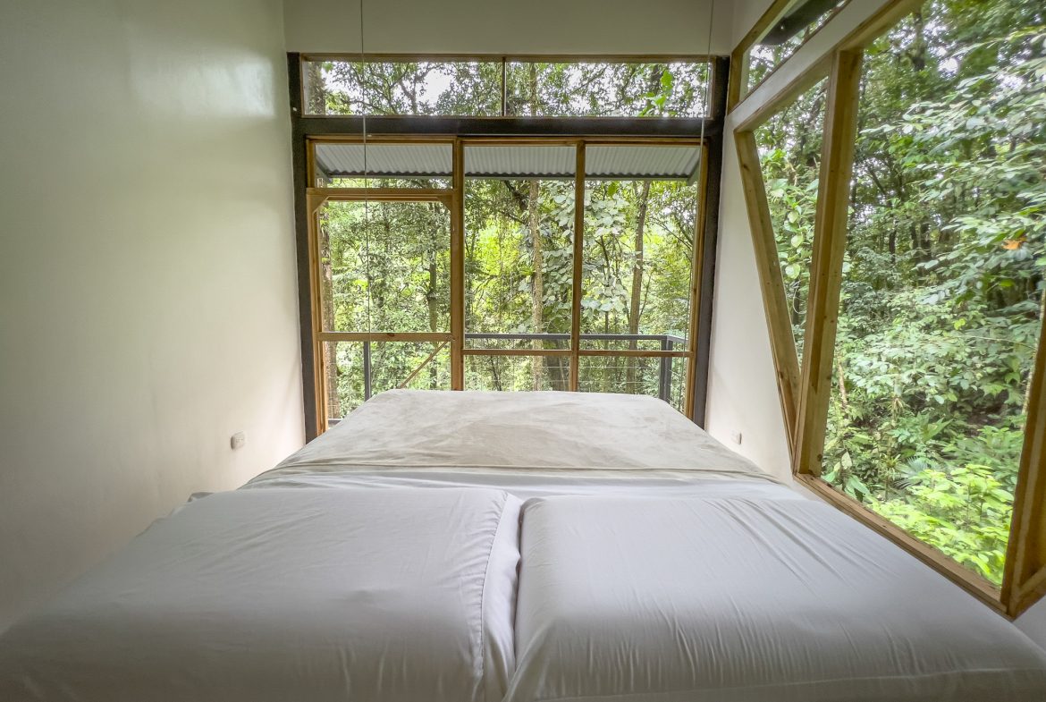 JUNGLE PROPERTY WITH THREE BEDROOM IN THE MIDDLE OF THE NATURE, IN PIEDRAS BLANCAS – 1.87 ACRES