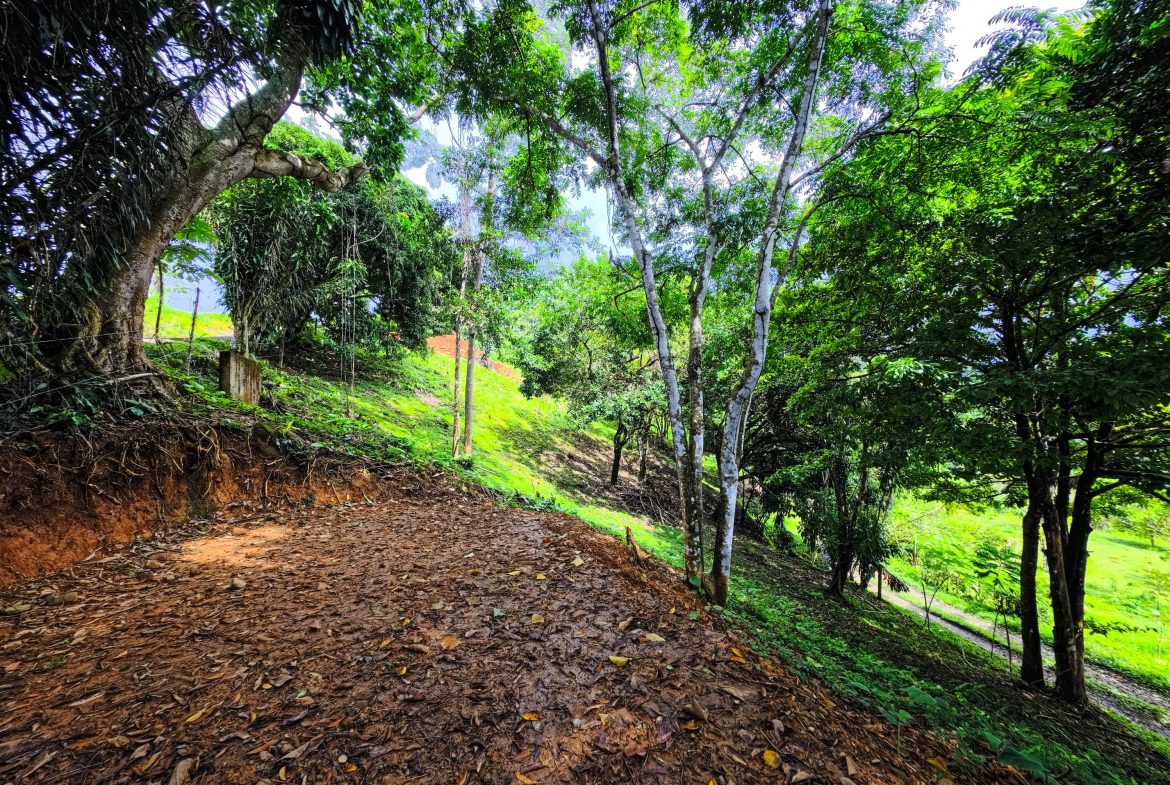 BUILDING PROPERTY WITH PANORAMIC VIEWS OF THE OCEAN, IN CINCO VENTANAS – 0.47 ACRES