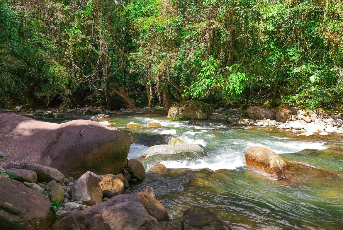 PROPERTY WITH ONE BEDROOM WITH BEAUTIFUL VIEWS OF THE NATURE, IN QUIZARRA PEREZ ZELEDON – 4.5 ACRES