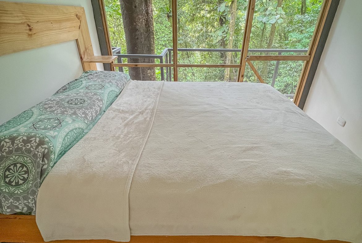 JUNGLE PROPERTY WITH THREE BEDROOM IN THE MIDDLE OF THE NATURE, IN PIEDRAS BLANCAS – 1.87 ACRES