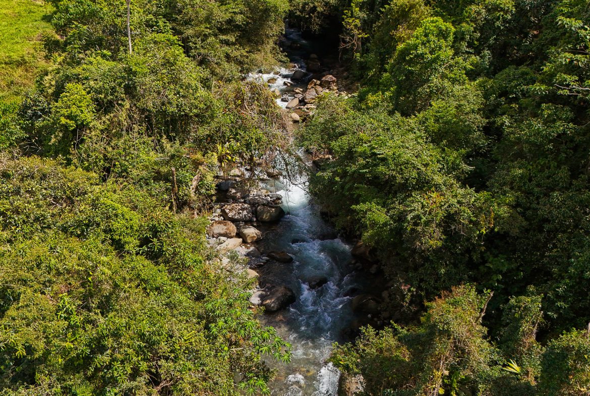PROPERTY WITH ONE BEDROOM WITH BEAUTIFUL VIEWS OF THE NATURE, IN QUIZARRA PEREZ ZELEDON – 4.5 ACRES