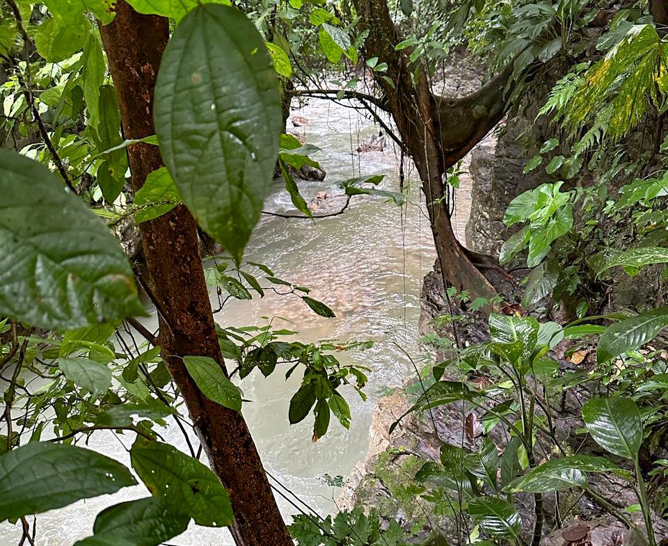 JUNGLE PROPERTY WITH THREE BEDROOM IN THE MIDDLE OF THE NATURE, IN PIEDRAS BLANCAS – 1.87 ACRES